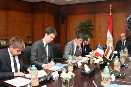 Egypt discusses deepening investment, trade cooperation with France