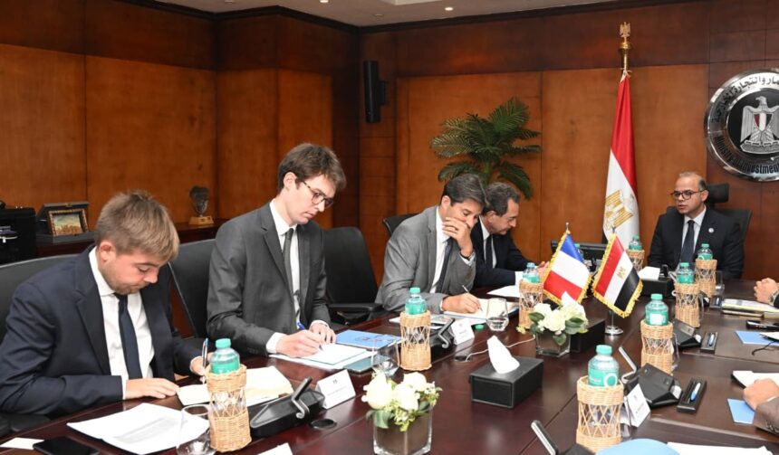 Egypt discusses deepening investment, trade cooperation with France