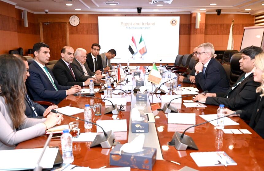 Egypt, Ireland explore industrial cooperation in renewable energy, pharmaceuticals, and advanced technologies