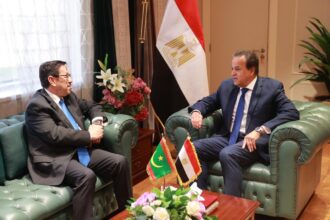Egypt, Mauritania explore expanded cooperation in healthcare, medical training and pharmaceuticals