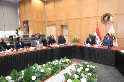 Egypt, South Africa discuss industrial integration, expanding cooperation in automotive, pharmaceutical sectors