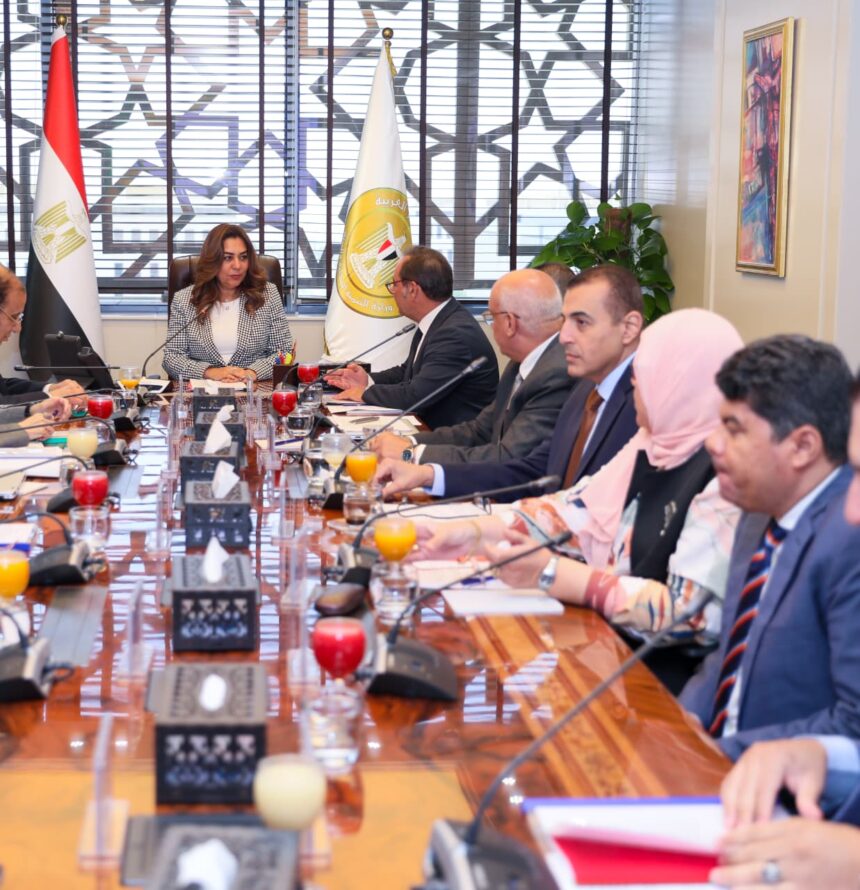Egypt's Environmental Protection Fund expands financing for greener industrial projects