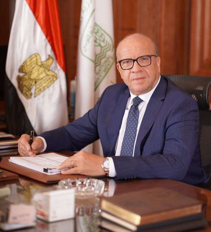 Ashraf Negm, Managing Director and Vice Chairperson of the National Investment Bank