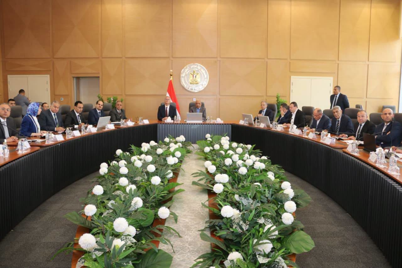 Electricity, petroleum ministers review plans to meet peak summer power demand
