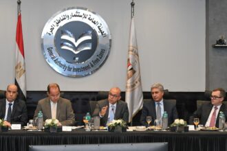 Egyptian government discusses executive framework for FDI strategy with World Bank