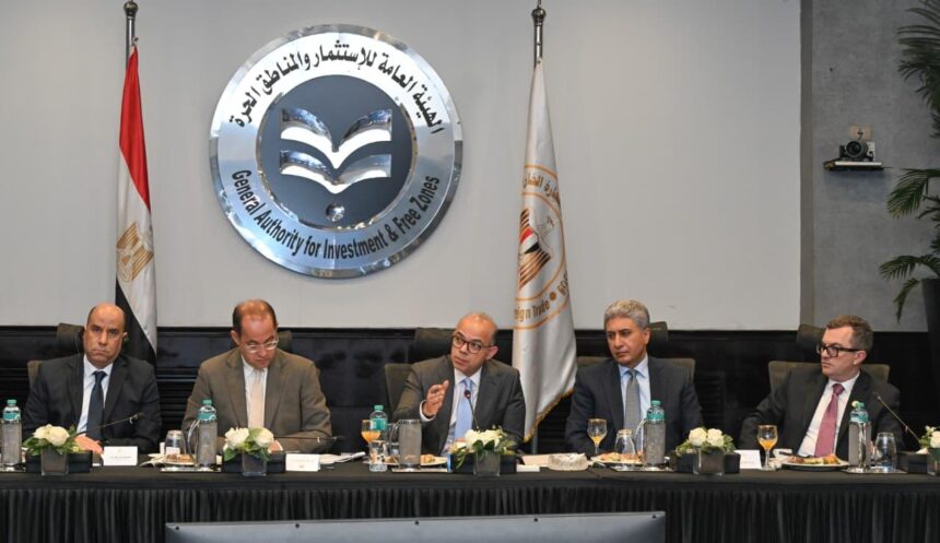 Egyptian government discusses executive framework for FDI strategy with World Bank
