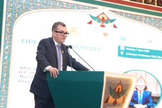 Ahmed Rostom, Minister of Planning and Economic Development