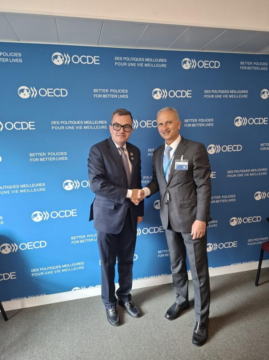 Egypt steps up preparations to host OECD MENA ministerial meeting