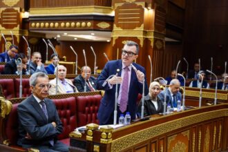 Egypt targets 4.8-5.2% economic growth in FY 2026/27, rising to 6.8% by 2030: Rostom