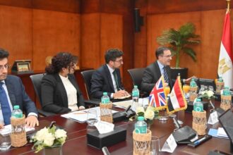 Egypt, UK explore deeper investment and trade cooperation