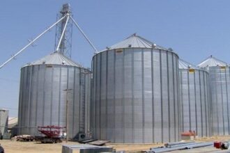 Egypt advances silo modernisation efforts to safeguard strategic grain reserves