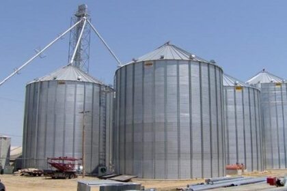 Egypt advances silo modernisation efforts to safeguard strategic grain reserves