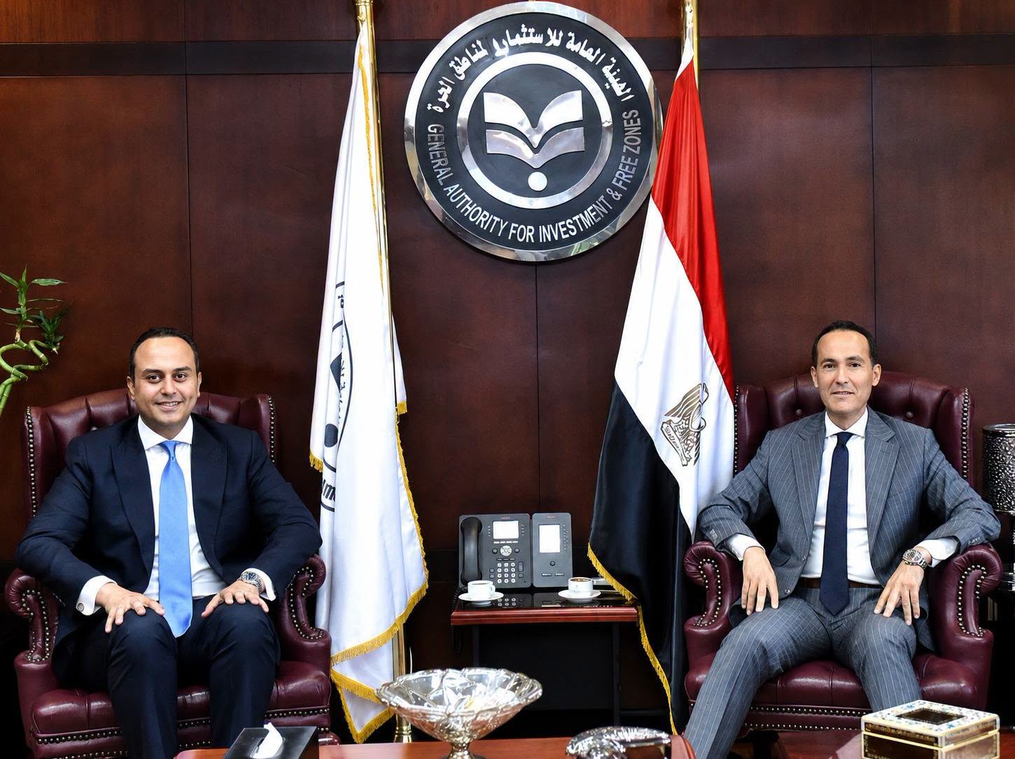 Strong domestic, international demand fuels investment in Egypt's healthcare: GAFI