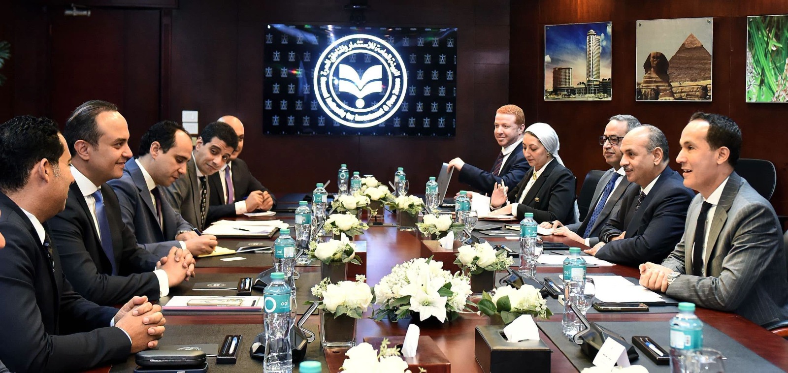 Strong domestic, international demand fuels investment in Egypt's healthcare: GAFI