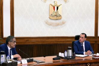 Egypt coordinates to issue freedom of information law, open media dialogue