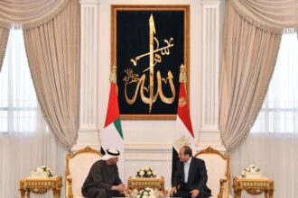 Al-Sisi, UAE president discuss regional developments during El Alamein meeting