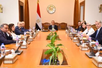 Foreign minister outlines Egypt's 2026-2031 national human rights strategy to European Parliament delegation