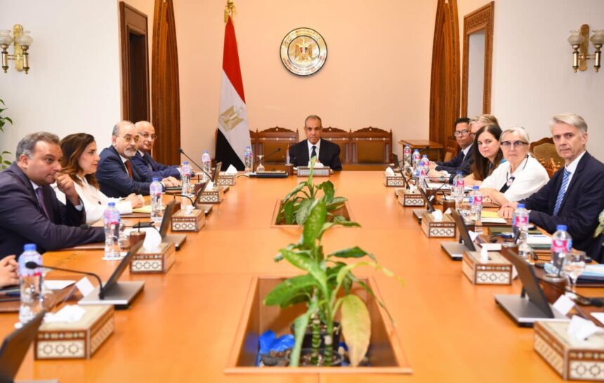 Foreign minister outlines Egypt's 2026-2031 national human rights strategy to European Parliament delegation