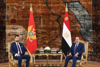 Egypt, Montenegro seek closer economic ties, reaffirm support for two-state solution