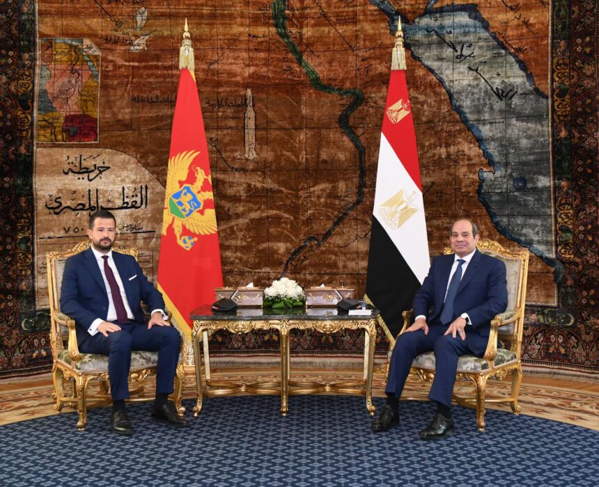 Egypt, Montenegro seek closer economic ties, reaffirm support for two-state solution