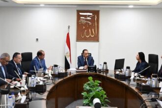 Egypt pledges full financial support for new national talent discovery programme