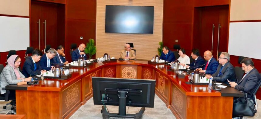 Egypt, China's CNCEC discuss expanding investments in petrochemicals, strategic industrial projects