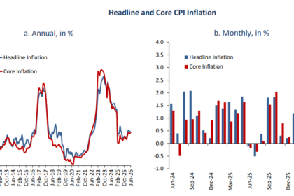 Egypt's annual urban inflation eases to 14.3% in June as food prices slow: CBE