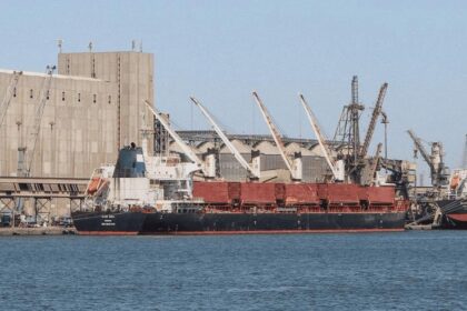 SIS monitors foreign media coverage of Damietta Port incident, urges reliance on official sources