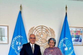 Egypt pushes for stronger global water governance ahead of UN conference