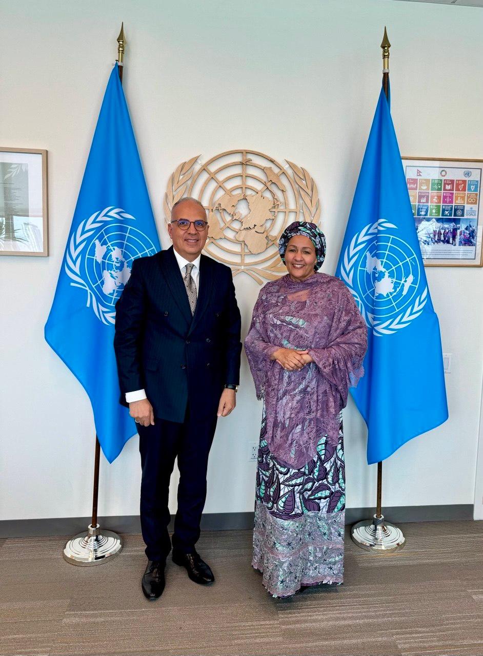 Egypt pushes for stronger global water governance ahead of UN conference