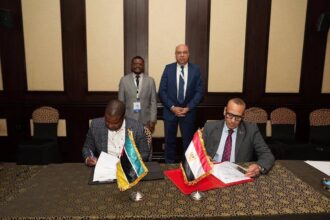Egypt, Mozambique sign MoU to strengthen civil aviation cooperation