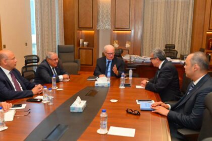 Egypt's Deputy Prime Minister and state auditor discuss mechanisms to boost state-owned enterprise performance
