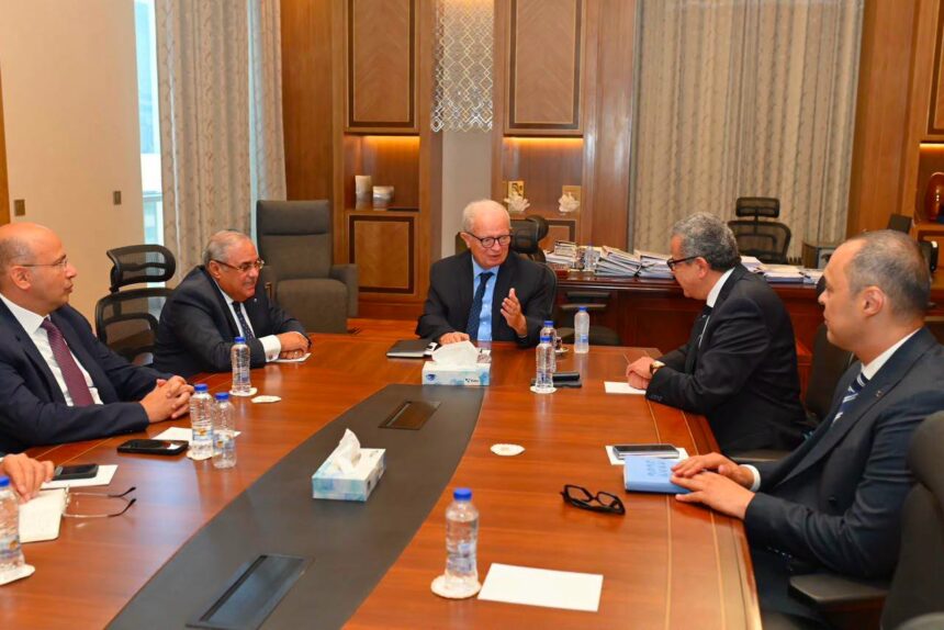 Egypt's Deputy Prime Minister and state auditor discuss mechanisms to boost state-owned enterprise performance
