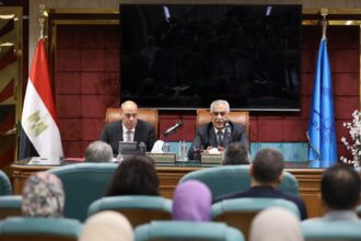 Egypt prioritises maximising state assets, expanding private sector partnerships: Military production minister