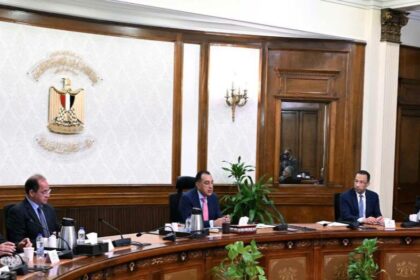 Madbouly reviews implementation of presidential directives to expand digital transformation