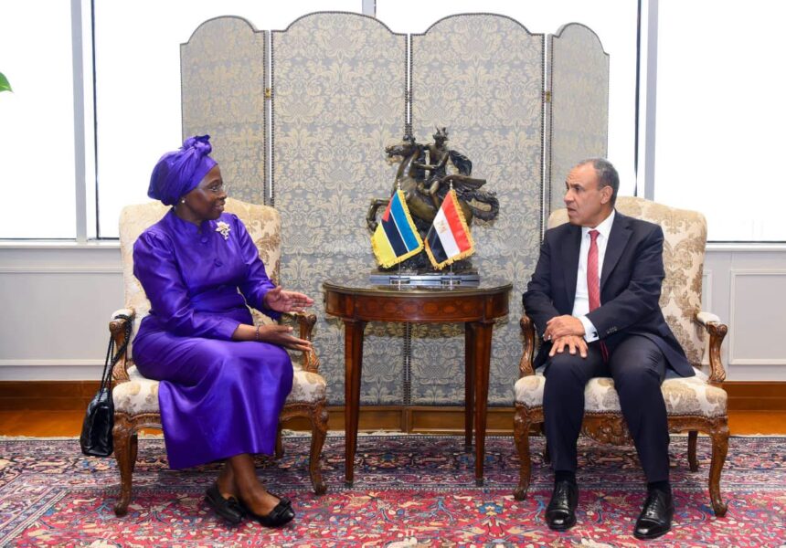 Egyptian and Mozambican foreign ministers discuss regional security and SADC medical distribution