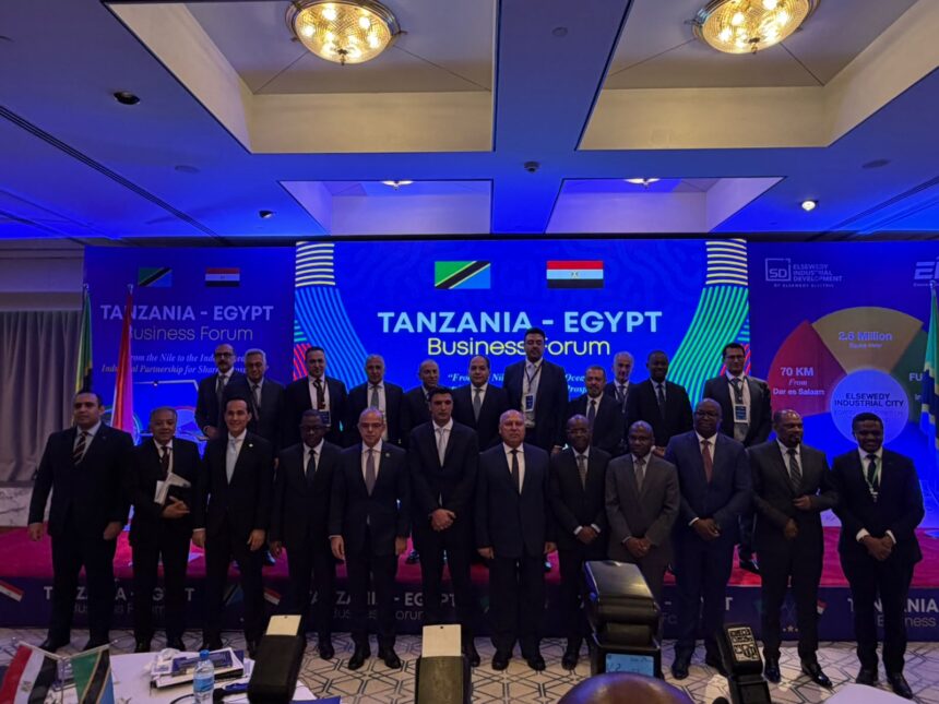 Seven Egyptian investors sign industrial land agreements at Elsewedy Industrial City in Tanzania