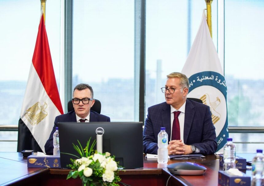 Planning, petroleum ministers discuss strategy to strengthen Egypt's energy security