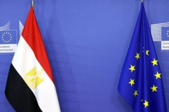 The European Union in Egypt: How to Shape the Future?