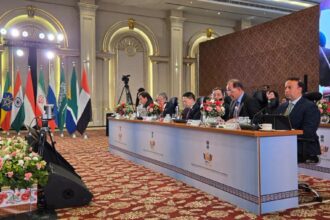 Egyptian finance minister calls for fairer global financial system at 1st BRICS finance meeting in India