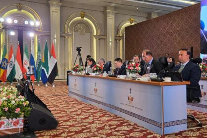 Egyptian finance minister calls for fairer global financial system at 1st BRICS finance meeting in India
