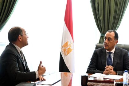 Private sector secures 60% of investments as economic risk falls, Egypt finance minister tells premier