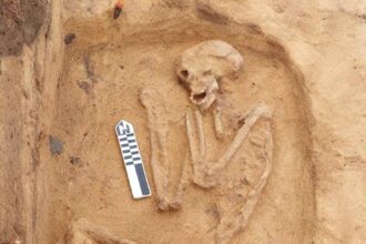 Archaeological discovery in Dakahleya uncovers thousands of years of human settlement