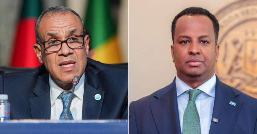 Egyptian Foreign Minister Badr Abdelatty (L) and Somali Foreign Minister Abdisalam Abdi Ali (R)