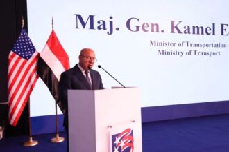 Egypt forges strategic partnerships with global port operators, shipping lines: Transport minister