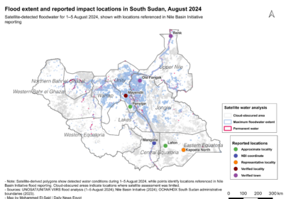 Who Benefits from Egypt’s Solar Water Stations in South Sudan?