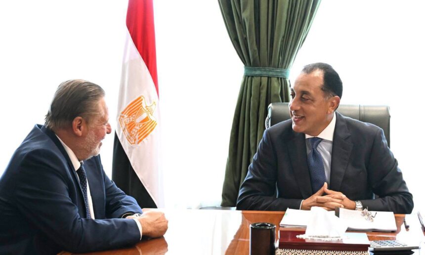 Foreign exchange reserves at safe levels, Egyptian premier and central bank governor affirm