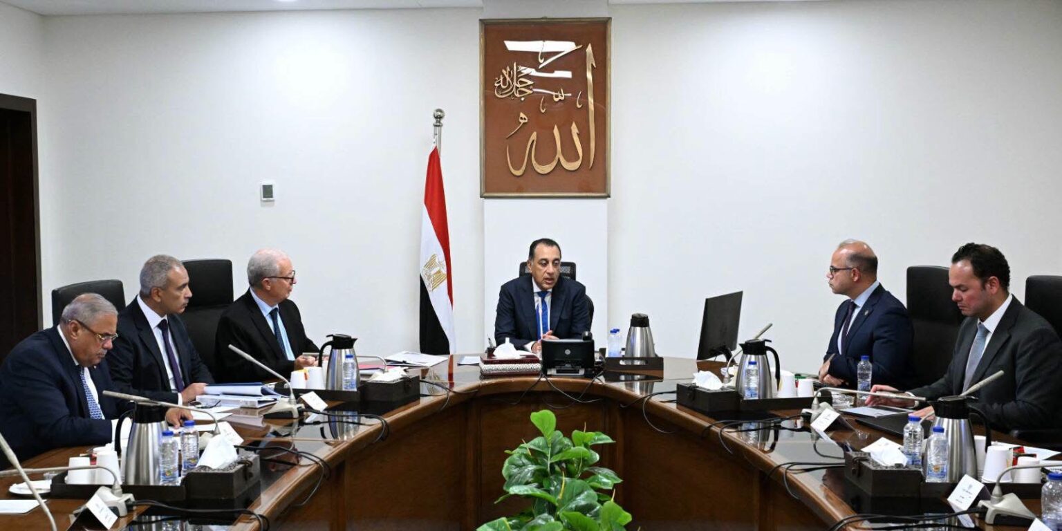 Egypt weighs transferring ownership of state holding companies to cut public debt