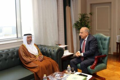 Egypt, UAE discuss strengthening cooperation in electricity, renewable energy