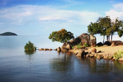 Egypt, Uganda prepare next phase of Great Lakes weed project as Cairo highlights $100m Nile Basin fund
